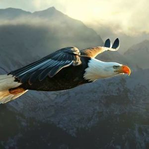 Meet your Posher, Shereta